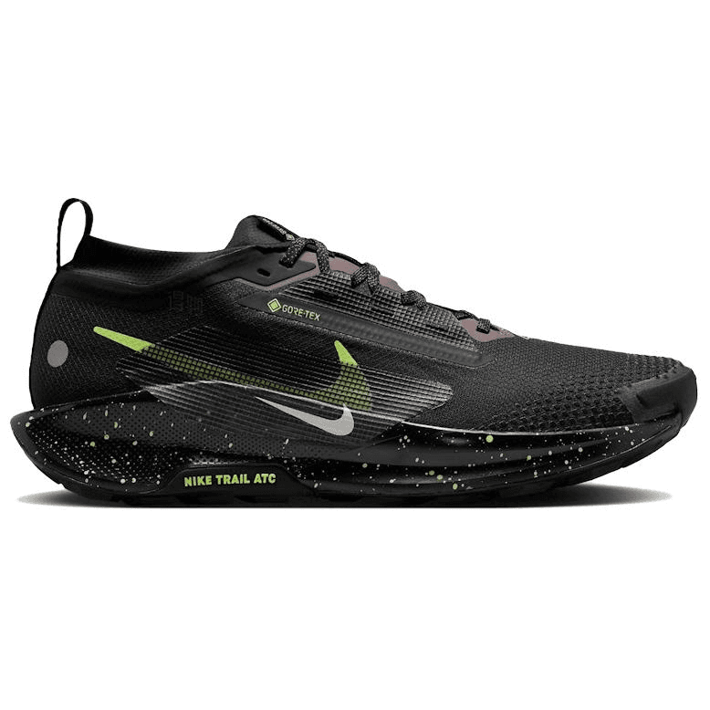 Nike Pegasus Trail 5 React Gore-Tex