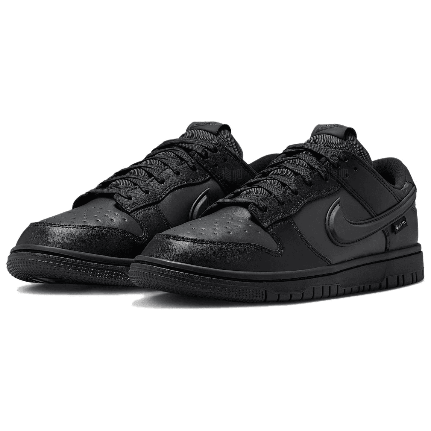 Nike Dunk Gore-Tex Low Black