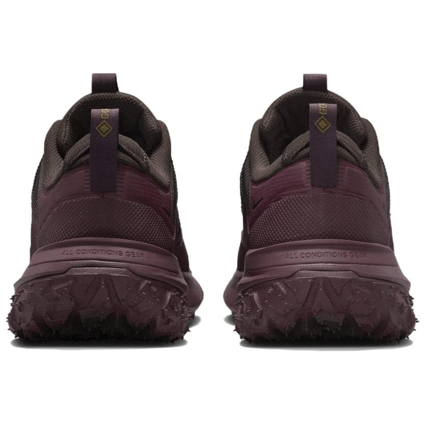 Nike ACG Mountain Fly 2 Low Gore-Tex