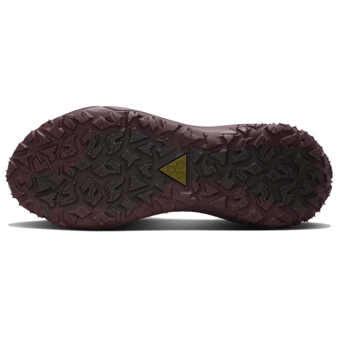 Nike ACG Mountain Fly 2 Low Gore-Tex