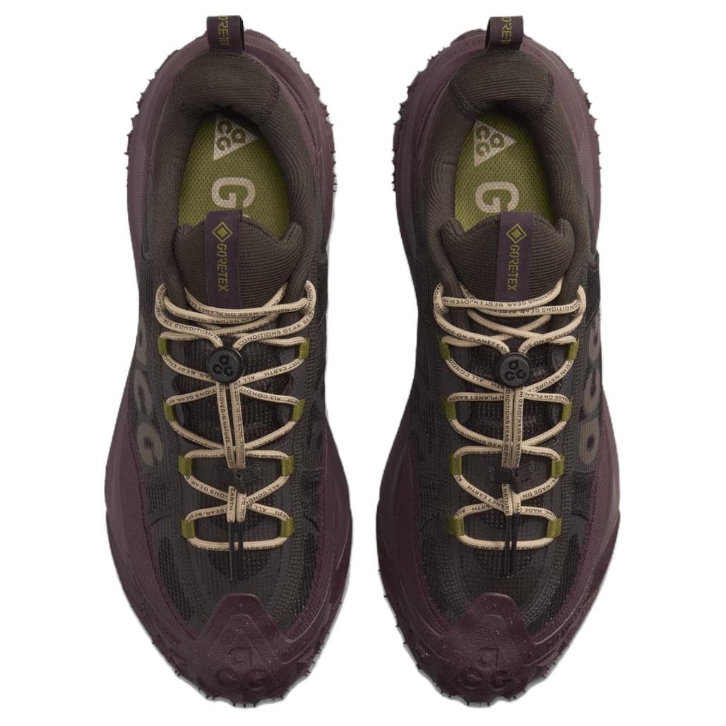 Nike ACG Mountain Fly 2 Low Gore-Tex