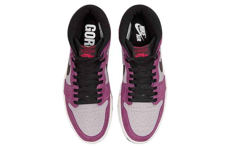 Jordan Air Jordan 1 Element GORE-TEX "Berry"