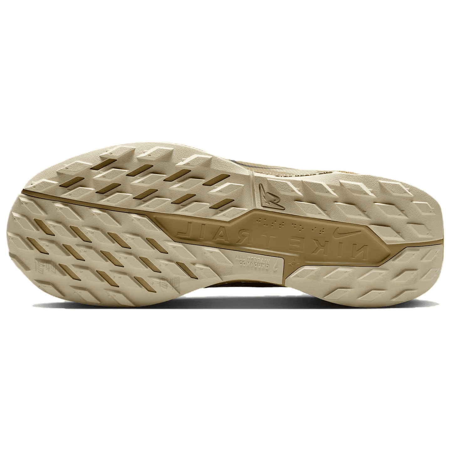 Nike Pegasus Trail 5 GORE-TEX