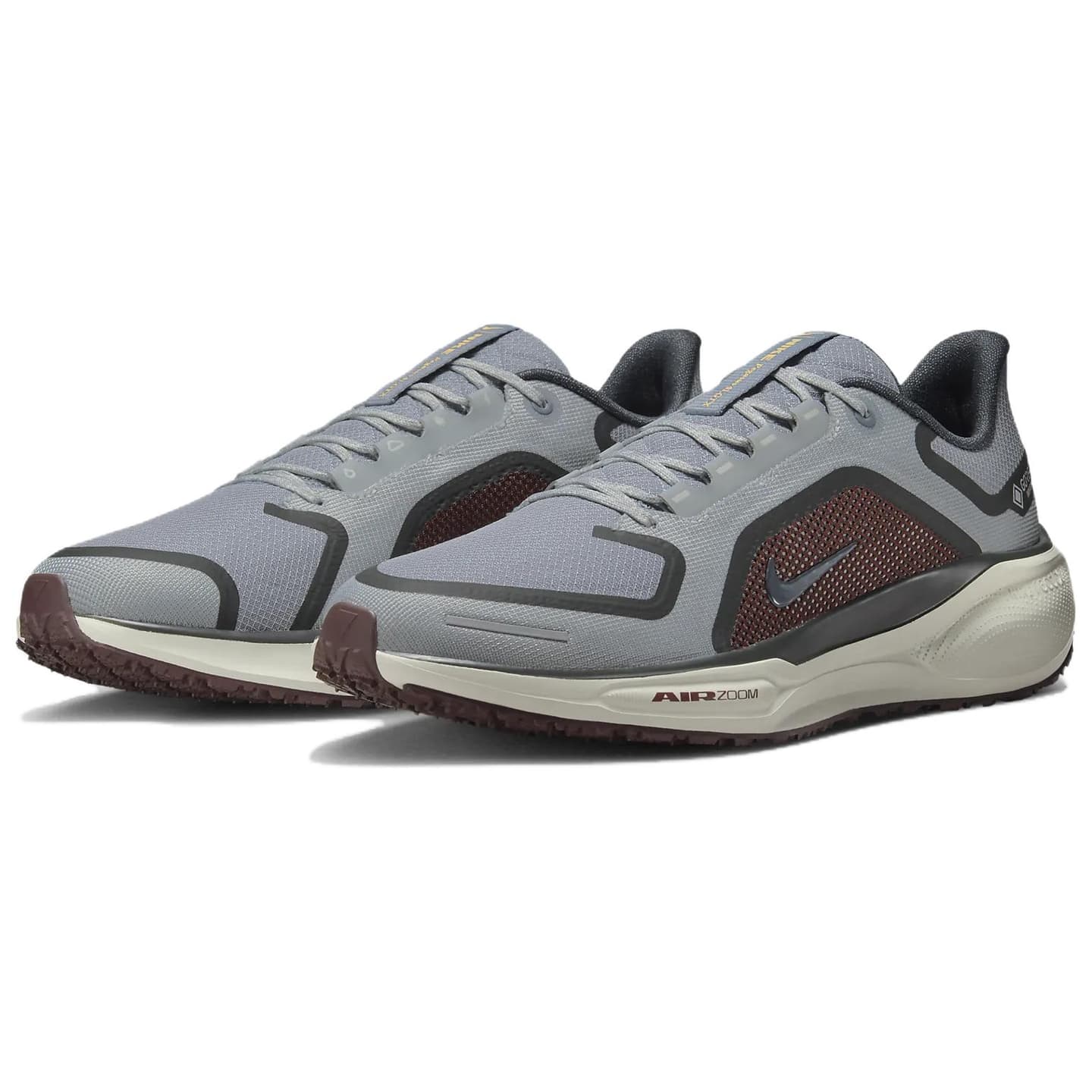 Nike Pegasus 41 GORE-TEX