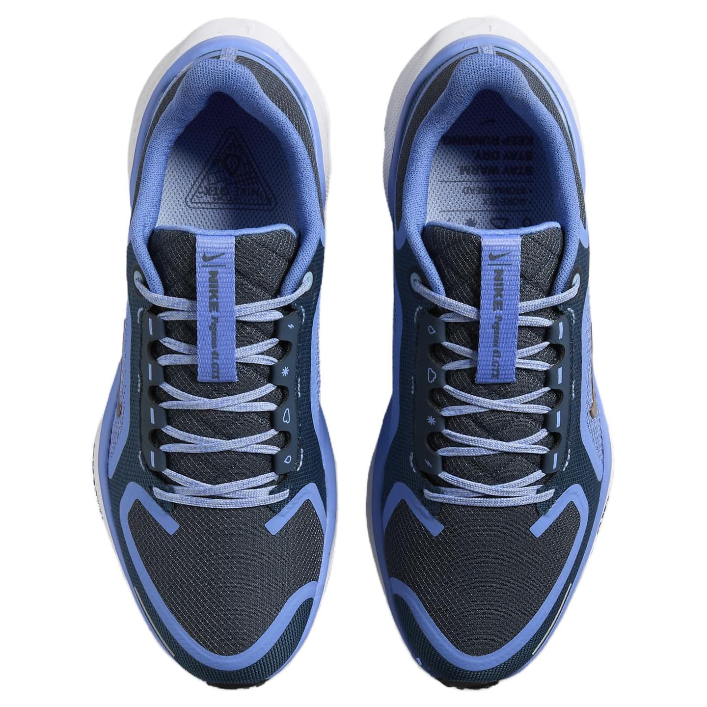 Nike Pegasus 41 GORE-TEX