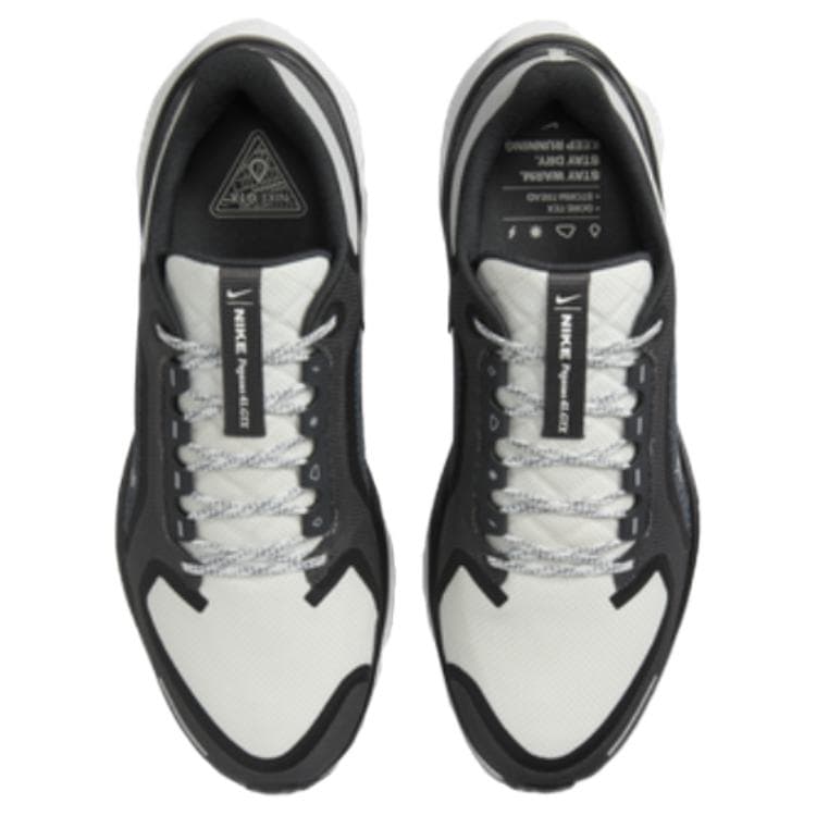 Nike Pegasus 41 GORE-TEX