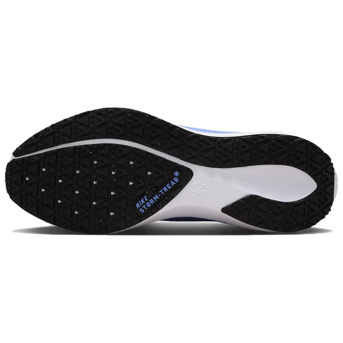 Nike Pegasus 41 GORE-TEX