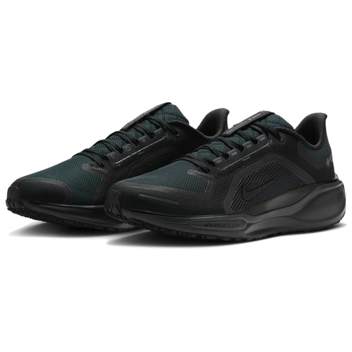 Nike Air Zoom Pegasus 41 GTX Black
