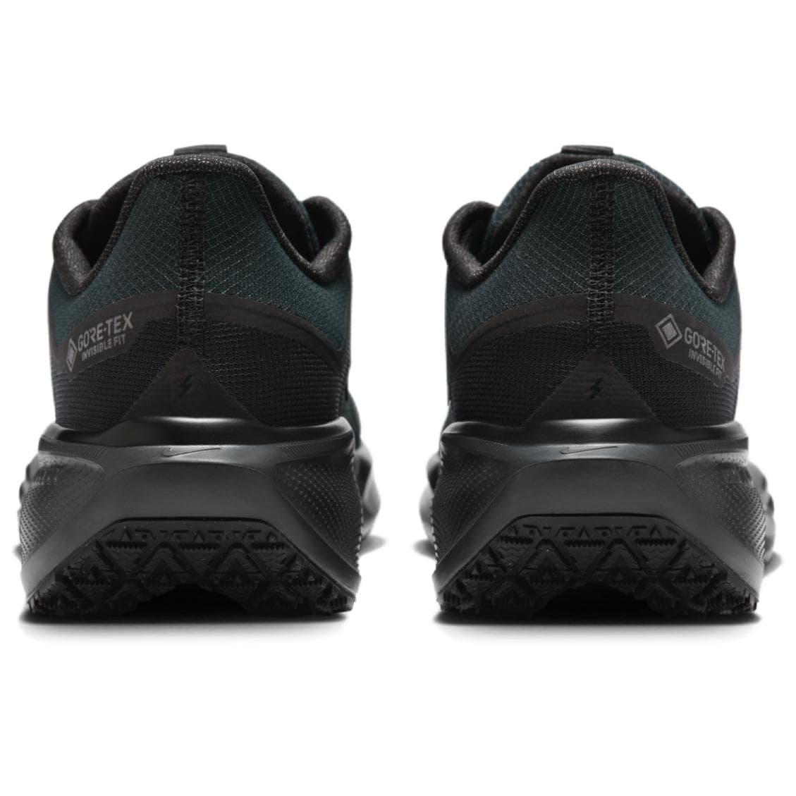 Nike Air Zoom Pegasus 41 GTX Black