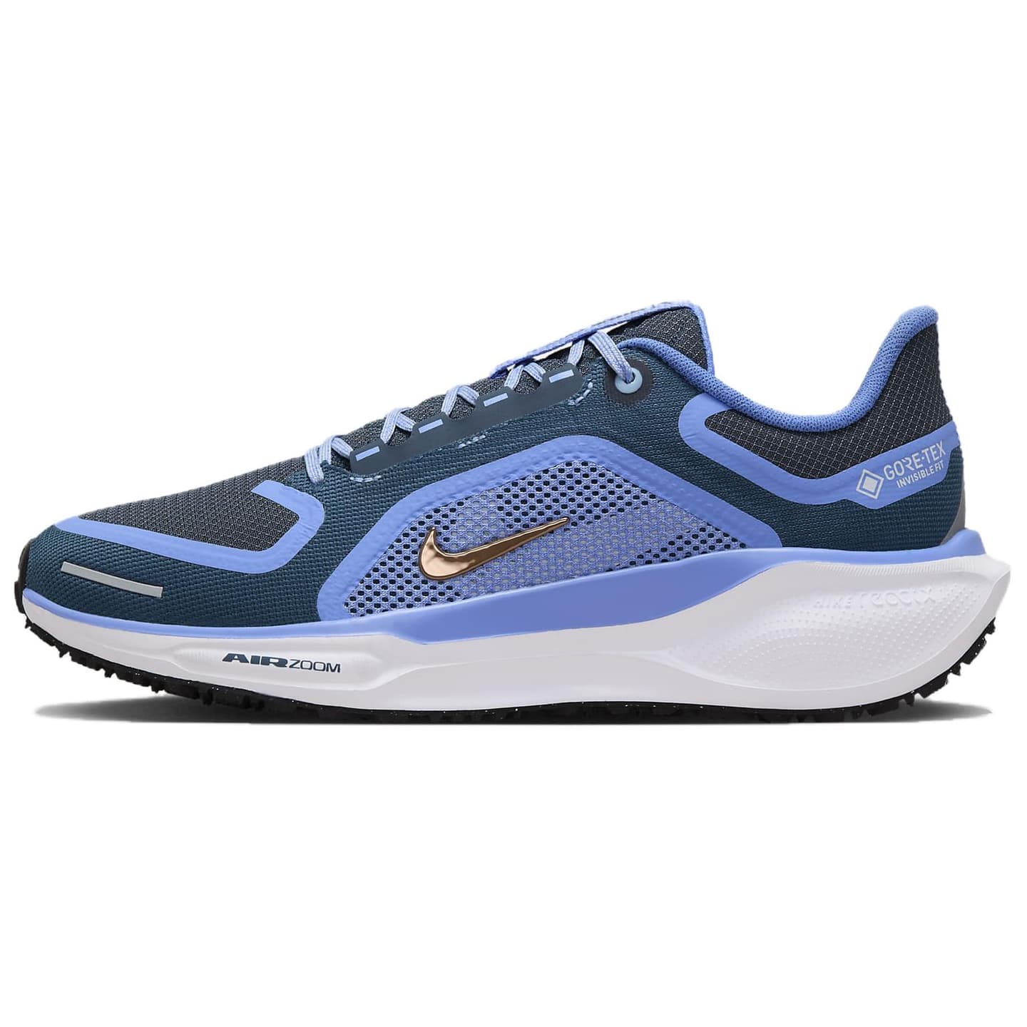 Nike Pegasus 41 GORE-TEX
