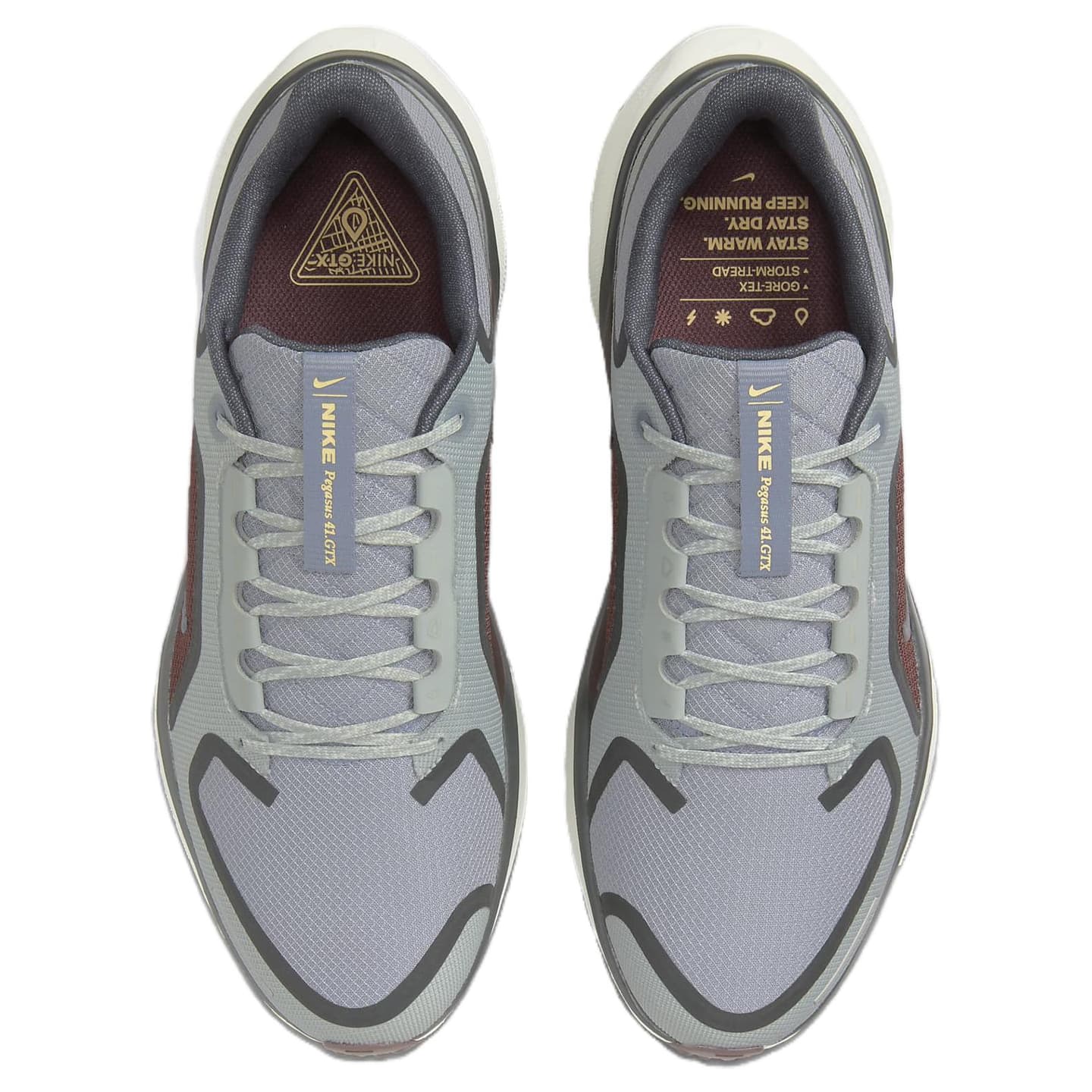 Nike Pegasus 41 GORE-TEX