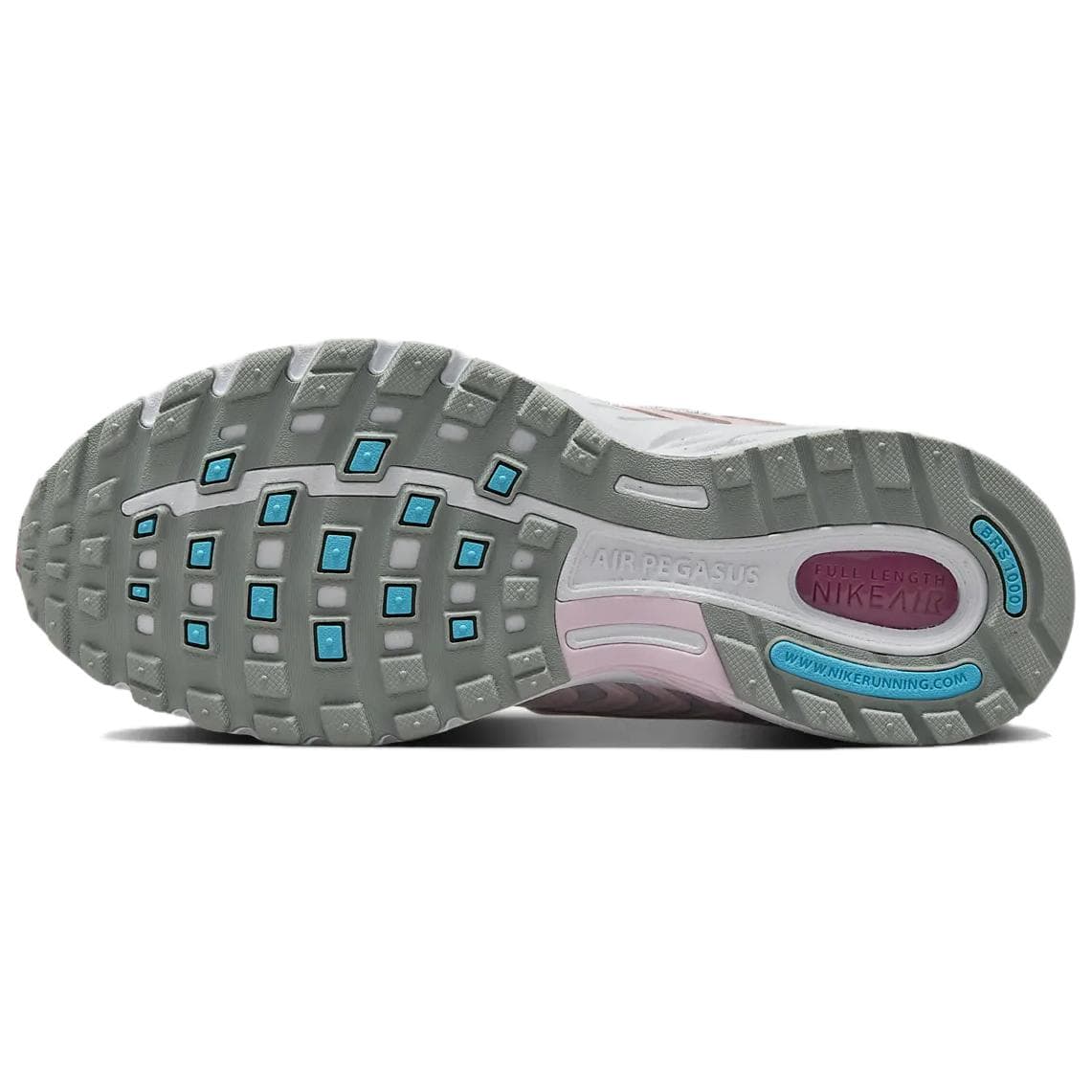 Nike Air Pegasus 2005