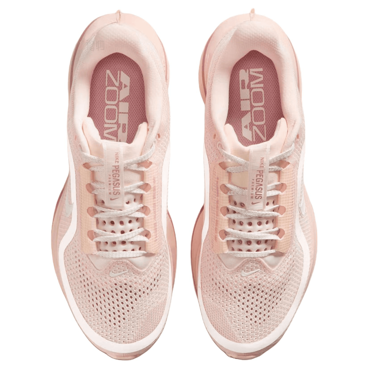 Nike Pegasus Premium