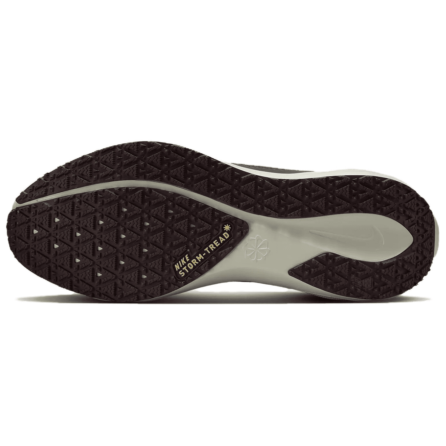 Nike Pegasus 41 GORE-TEX