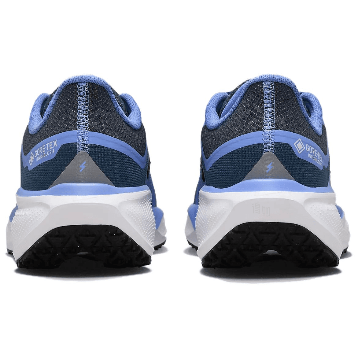Nike Pegasus 41 GORE-TEX