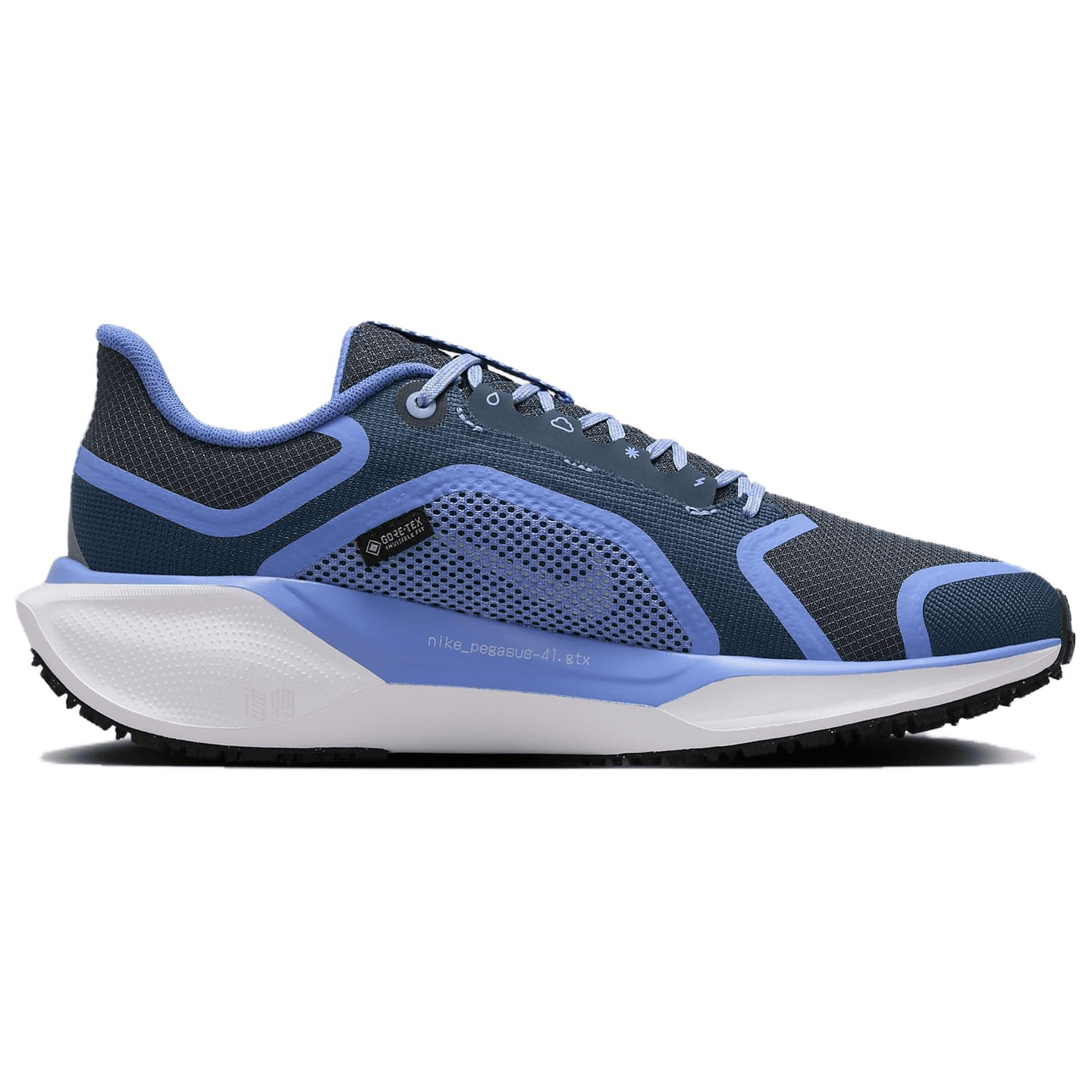 Nike Pegasus 41 GORE-TEX
