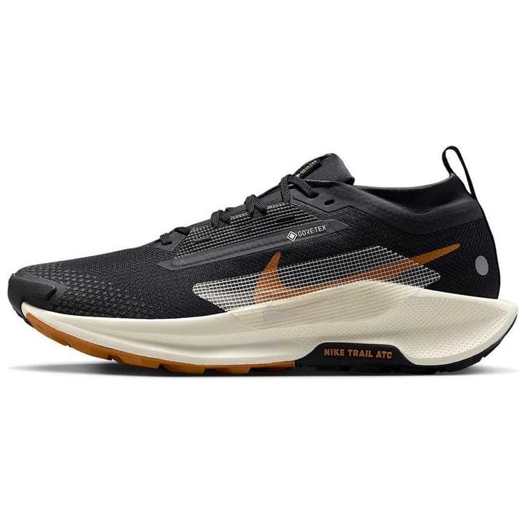 Nike Pegasus Trail 5 GORE-TEX