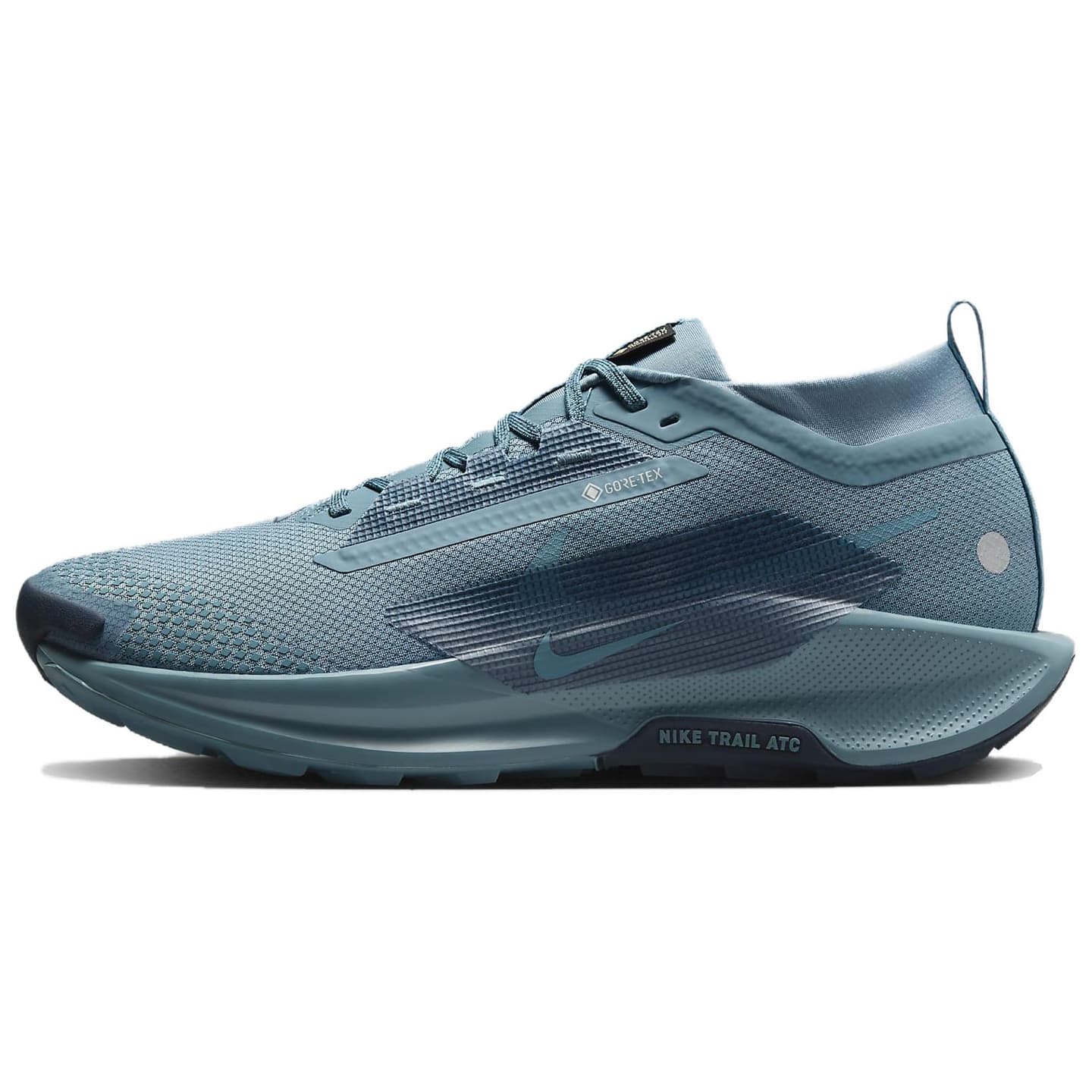Nike Pegasus Trail 5 GORE-TEX