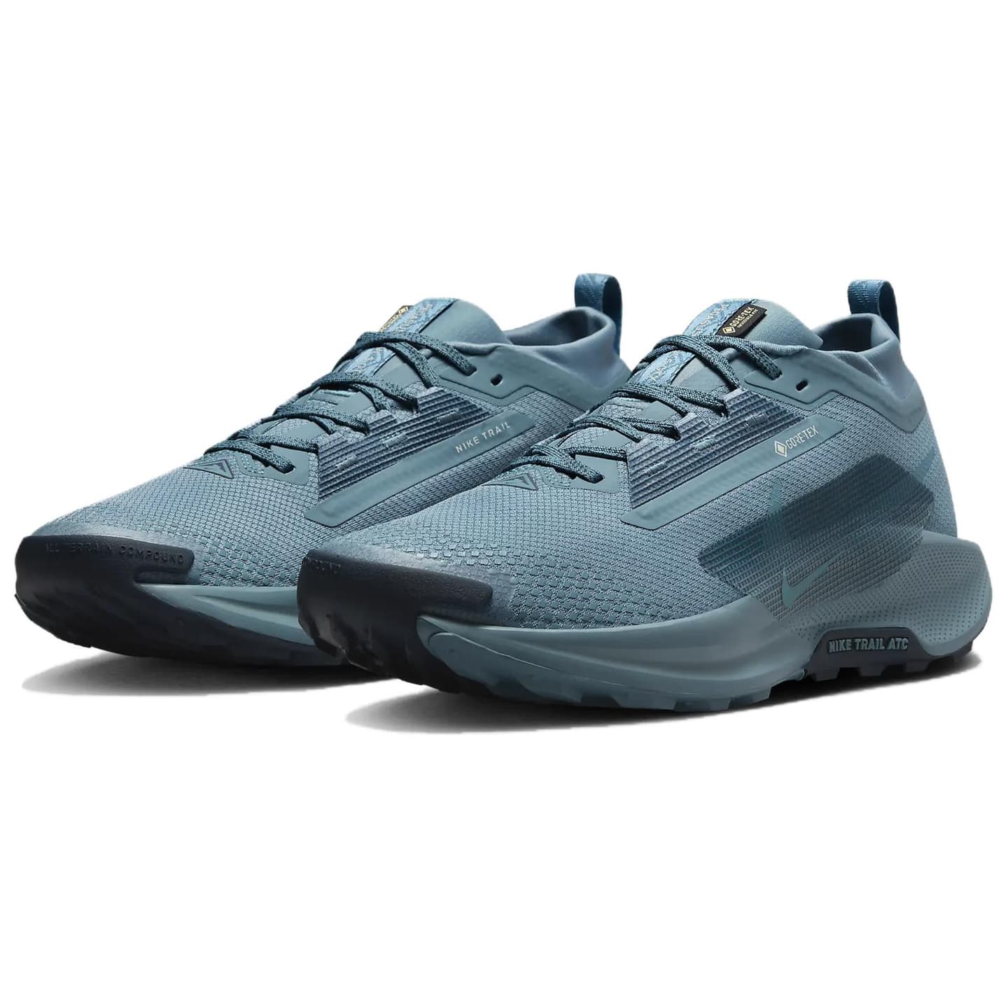 Nike Pegasus Trail 5 GORE-TEX