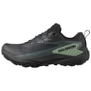 Salomon Genesis GORE-TEX
