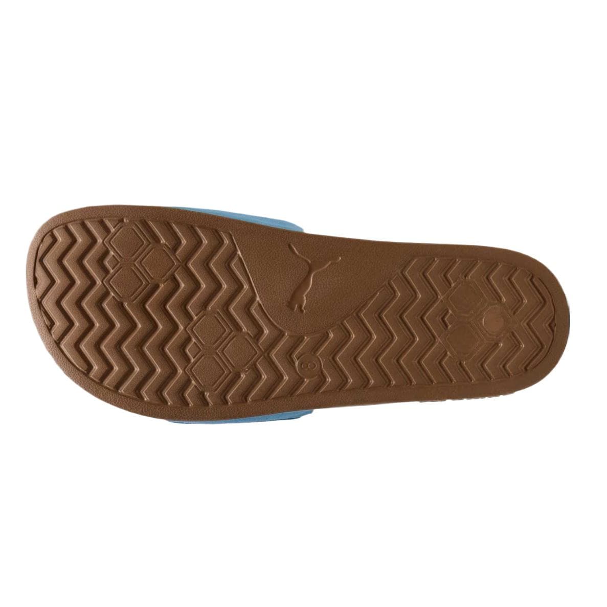 PUMA Leadcat 2.0 Light Blue