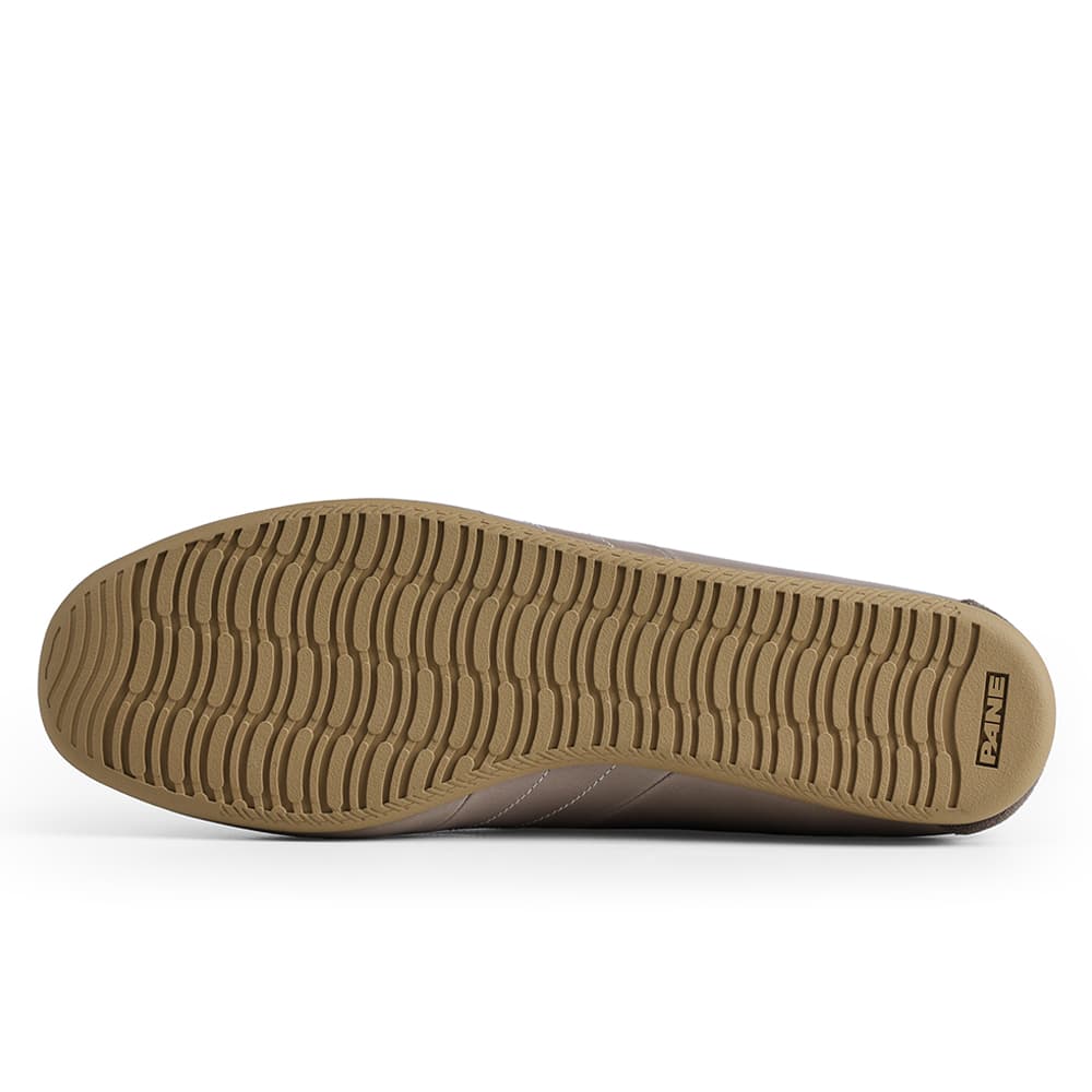 ua x PANE Tephra