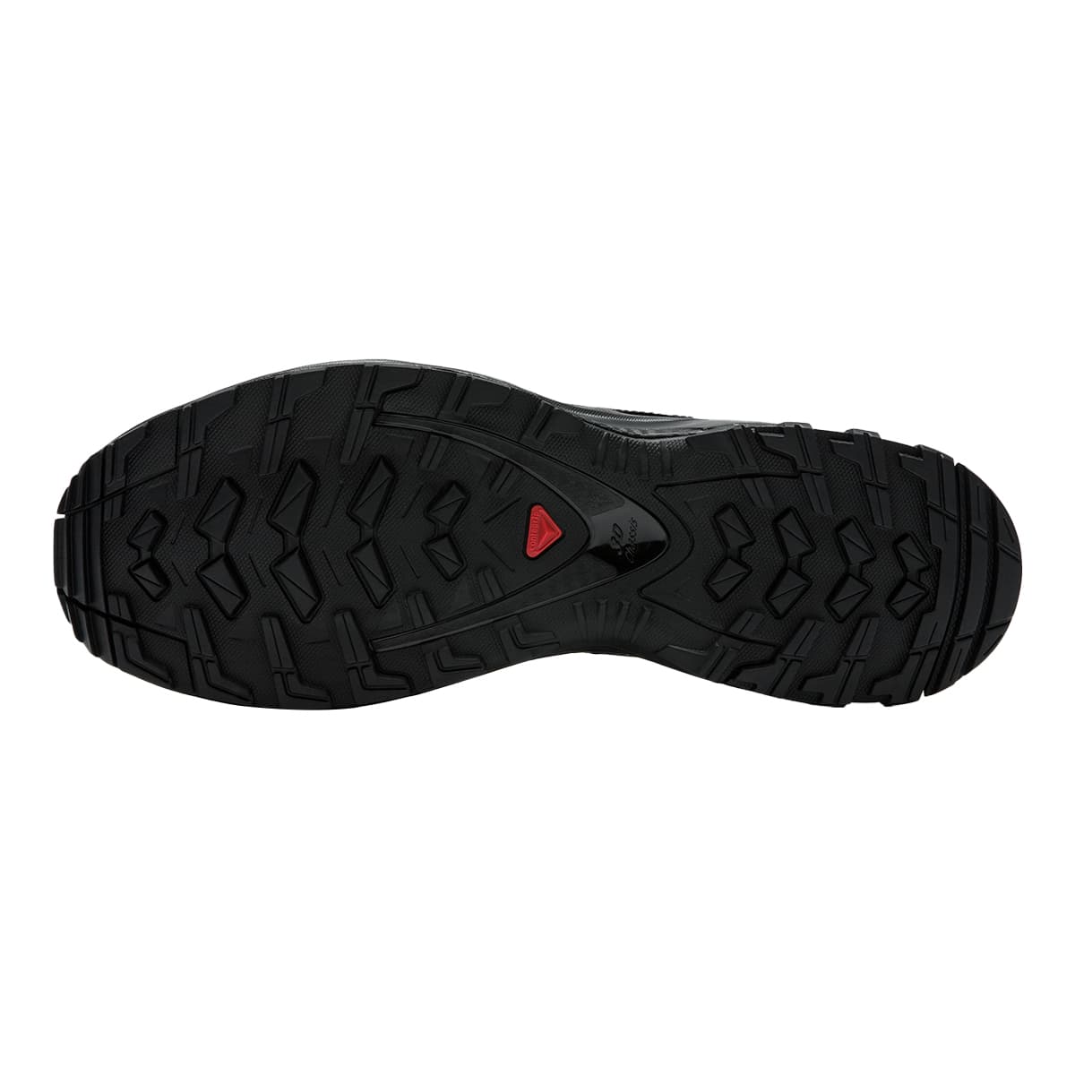 Salomon XA Pro 3D