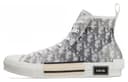 Dior B23