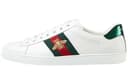 Gucci Ace White Green