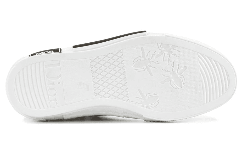 Dior B23