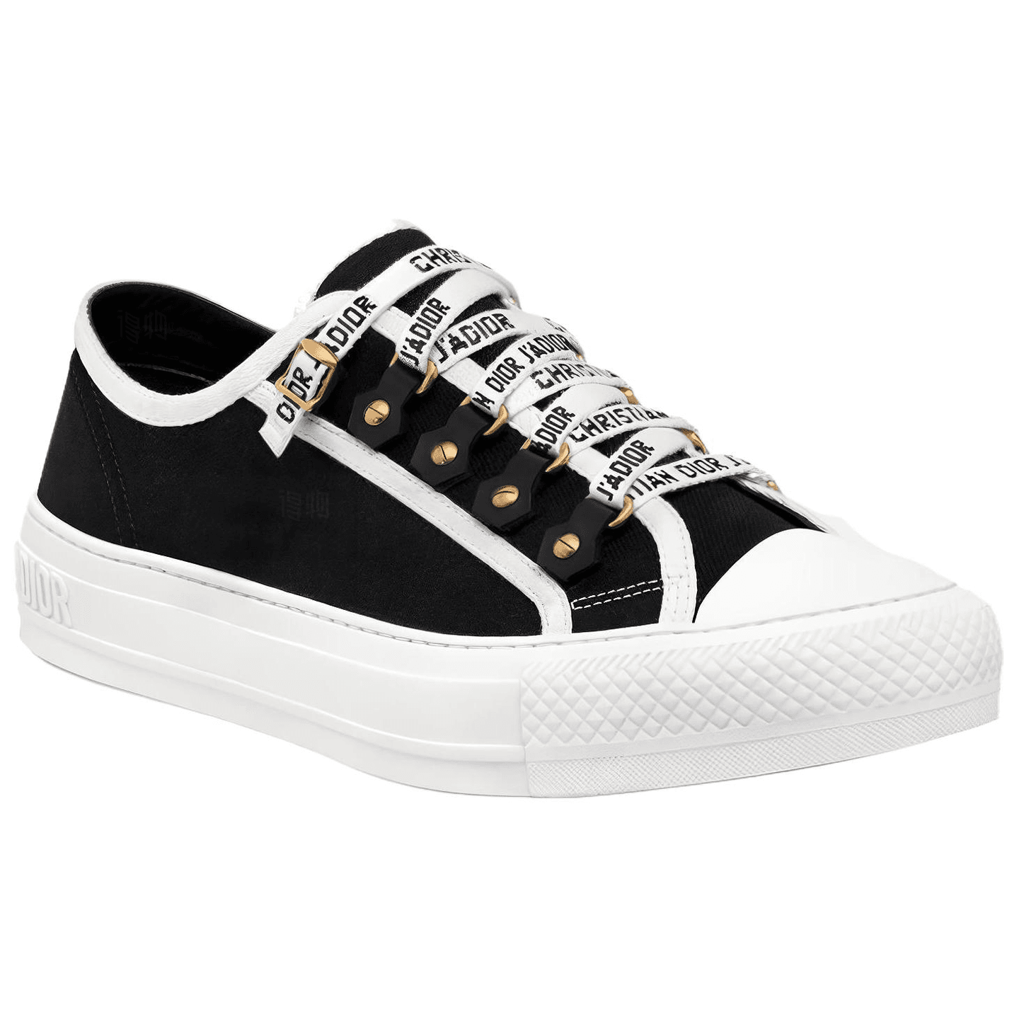 Dior Canvas Low-Top Black