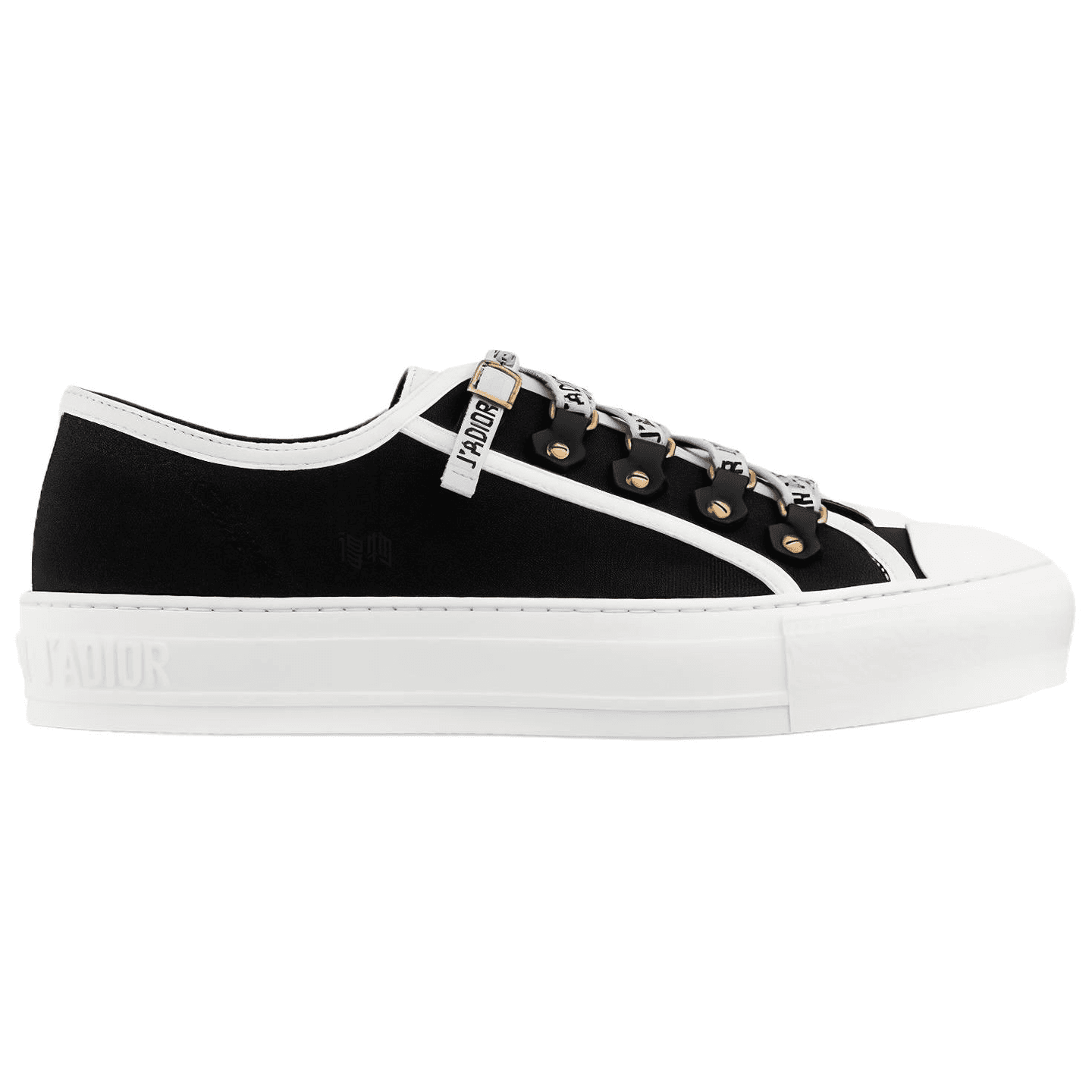 Dior Canvas Low-Top Black