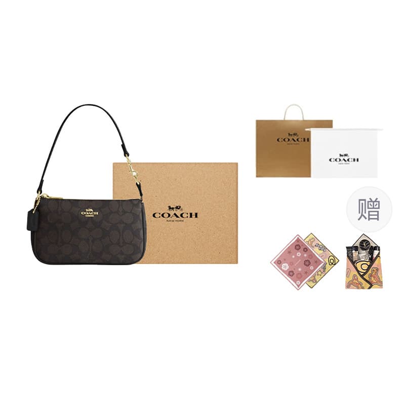 COACH Nolita 19