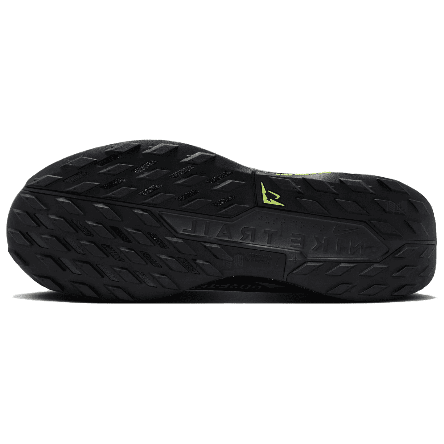 Nike Pegasus Trail 5 React Gore-Tex