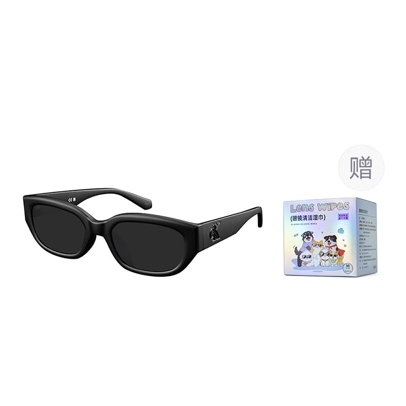 Calvin Klein Cat Eye Sunglasses