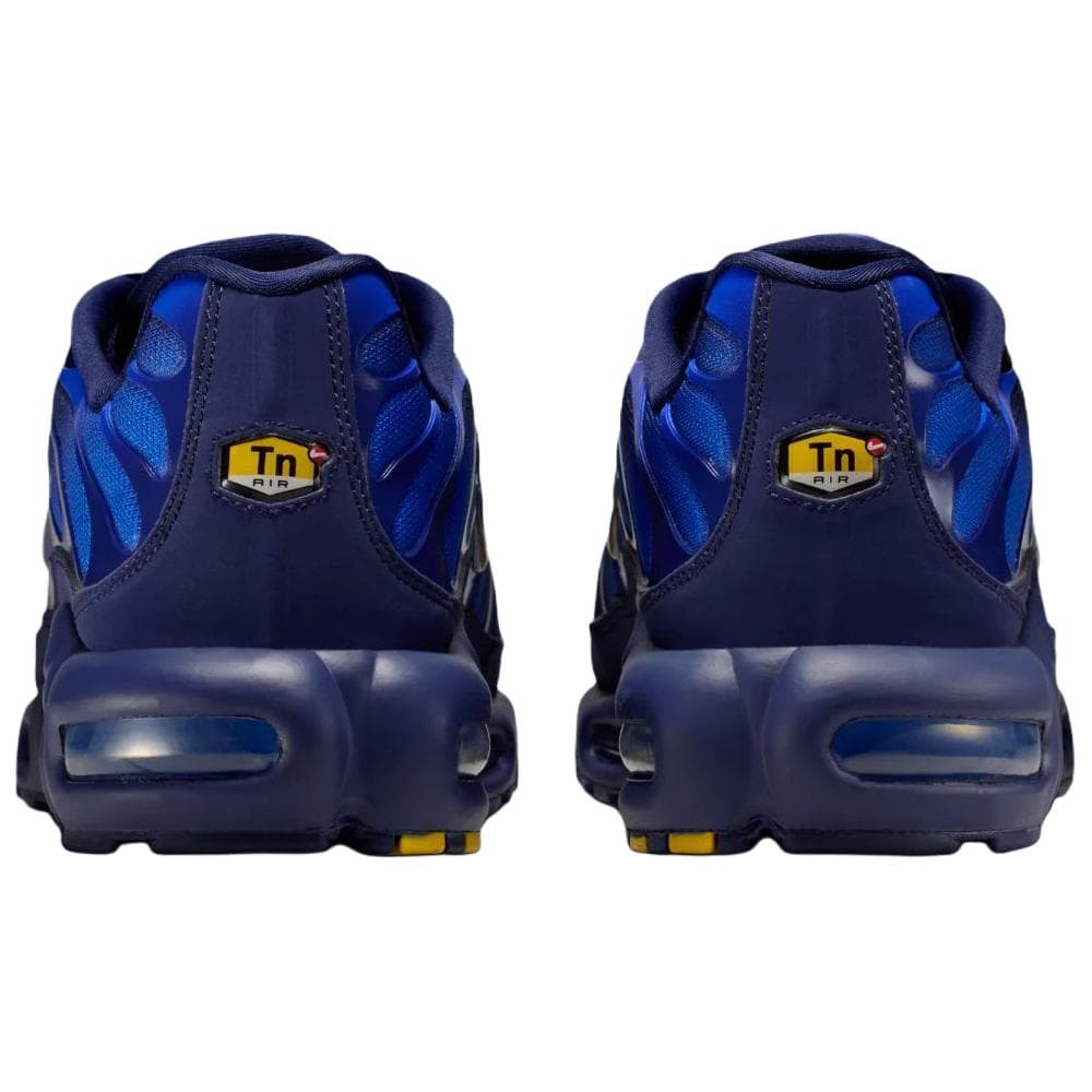 Nike French Football Federation Air Max Plus OG