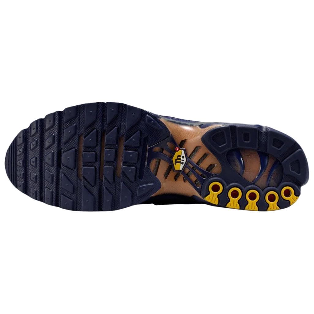Nike French Football Federation Air Max Plus OG