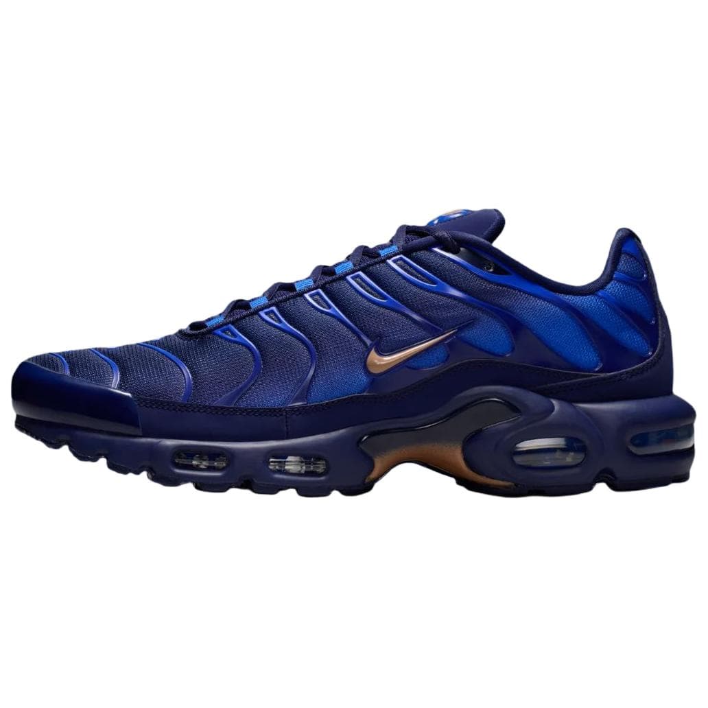 Nike French Football Federation Air Max Plus OG