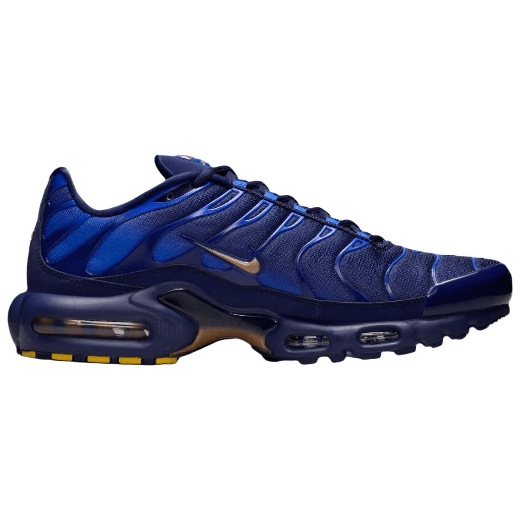 Nike French Football Federation Air Max Plus OG