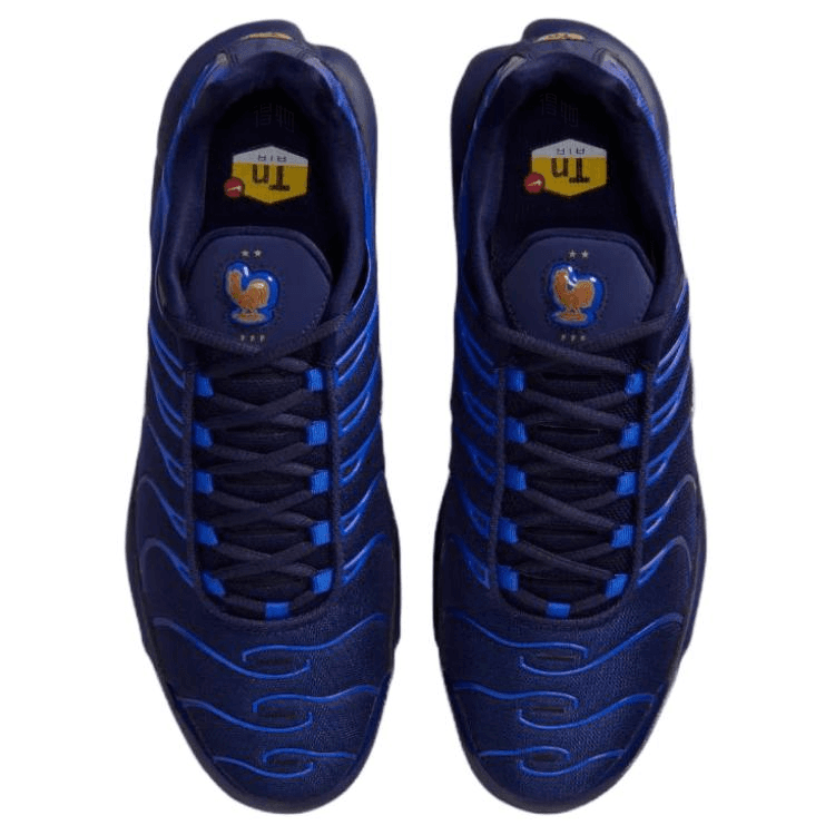 Nike French Football Federation Air Max Plus OG
