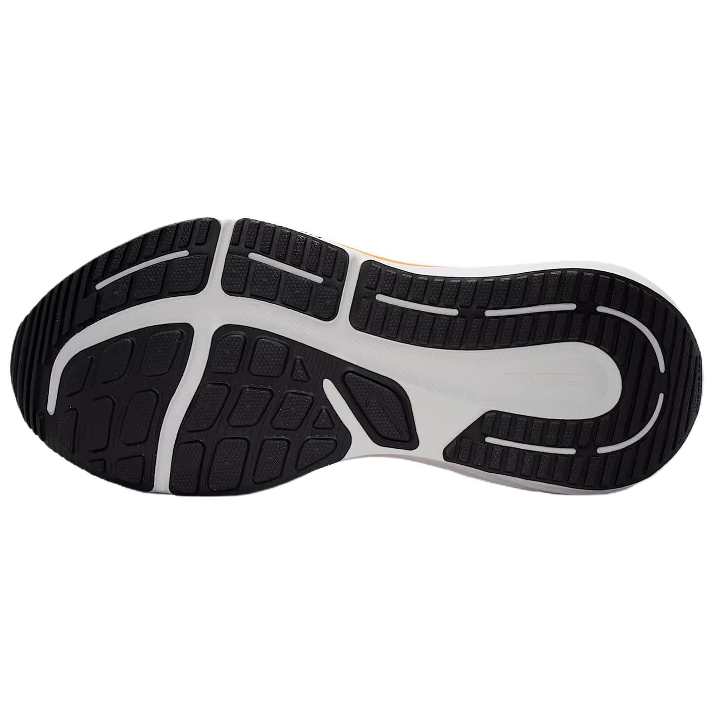 Nike Winflo 12