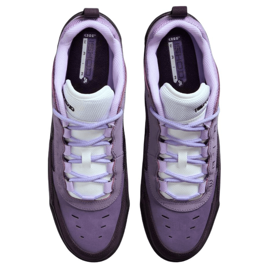 Nike Air Max Ishod SB