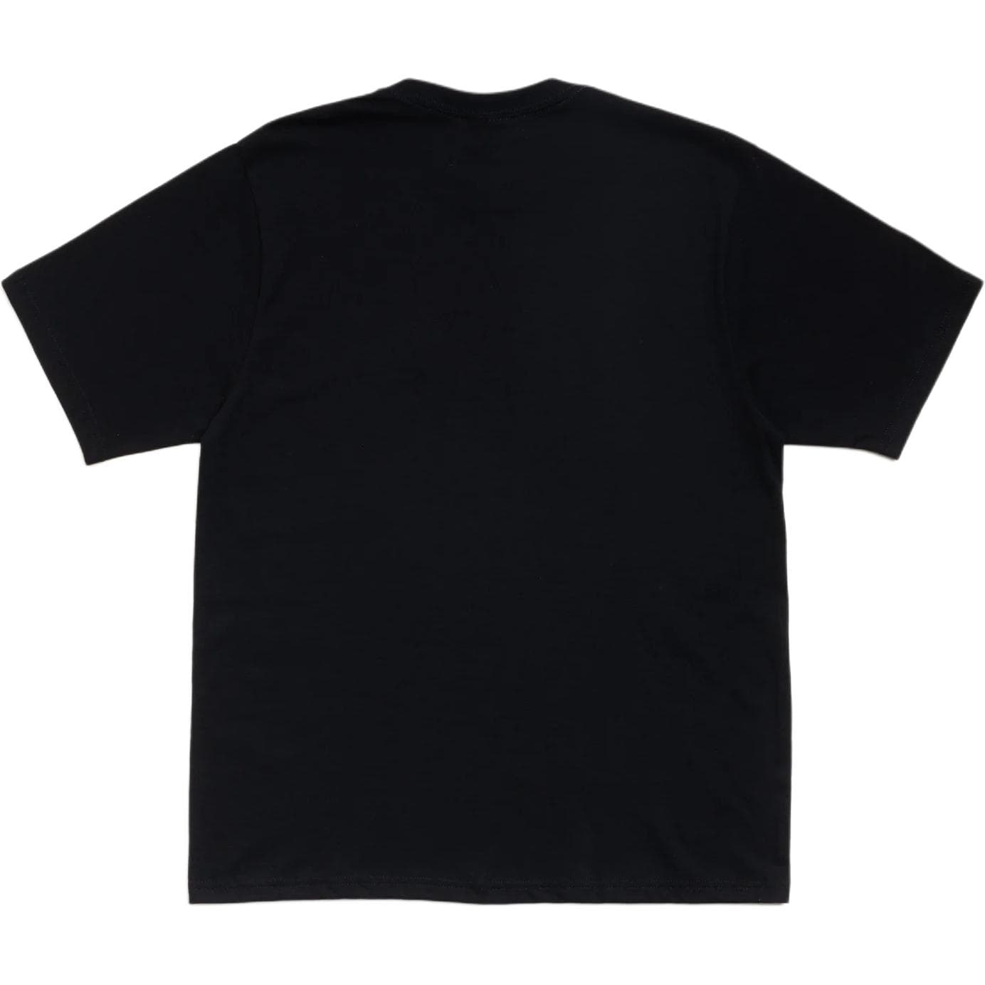 Stussy SS26 CITRUS TEE T