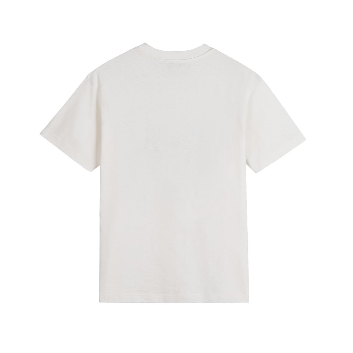 PANE T