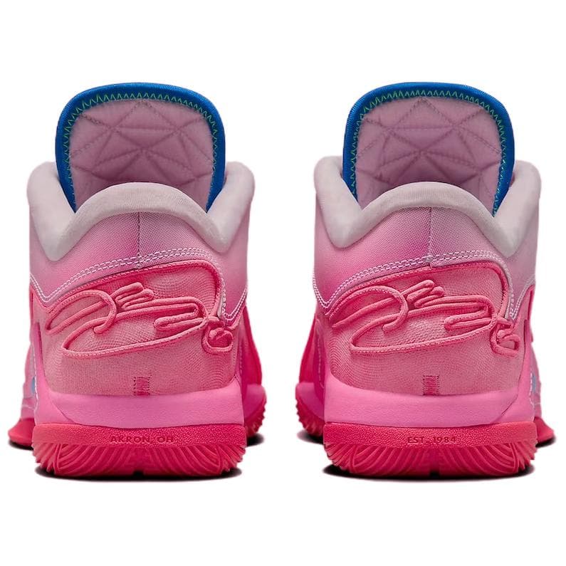 Nike LeBron 22 SN EP Pink White