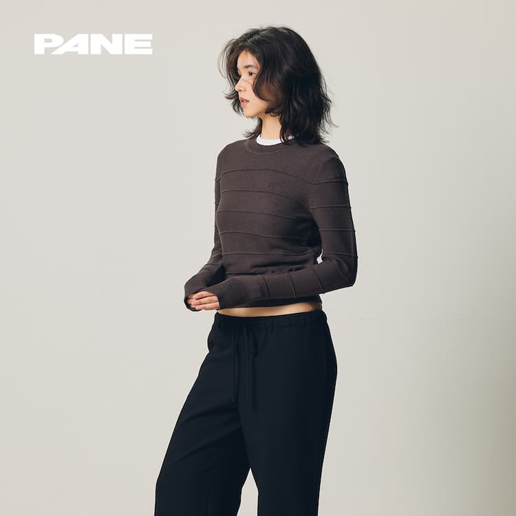 PANE