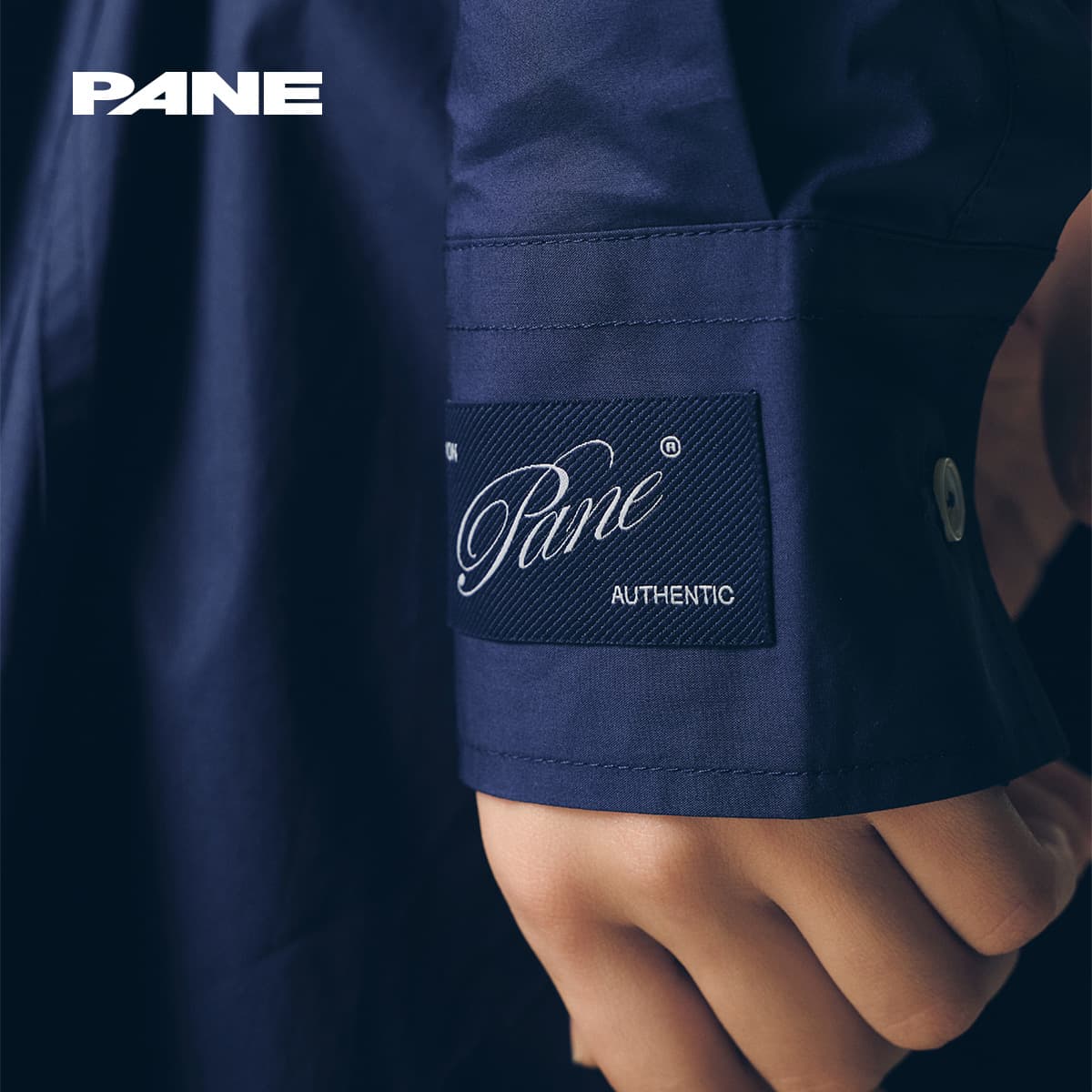PANE A