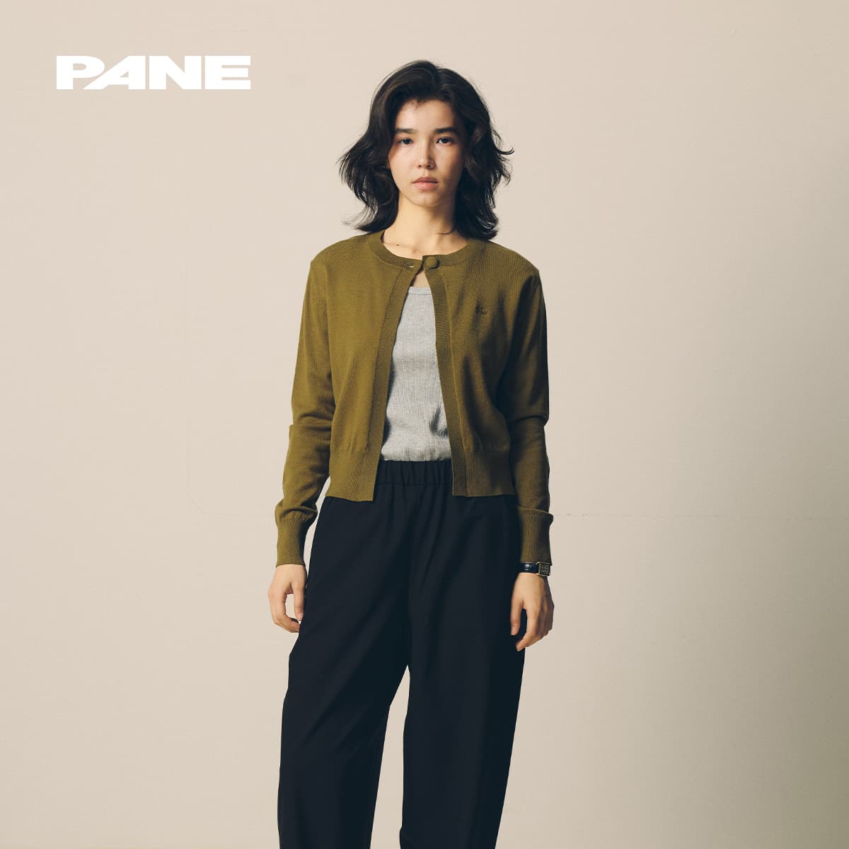 PANE