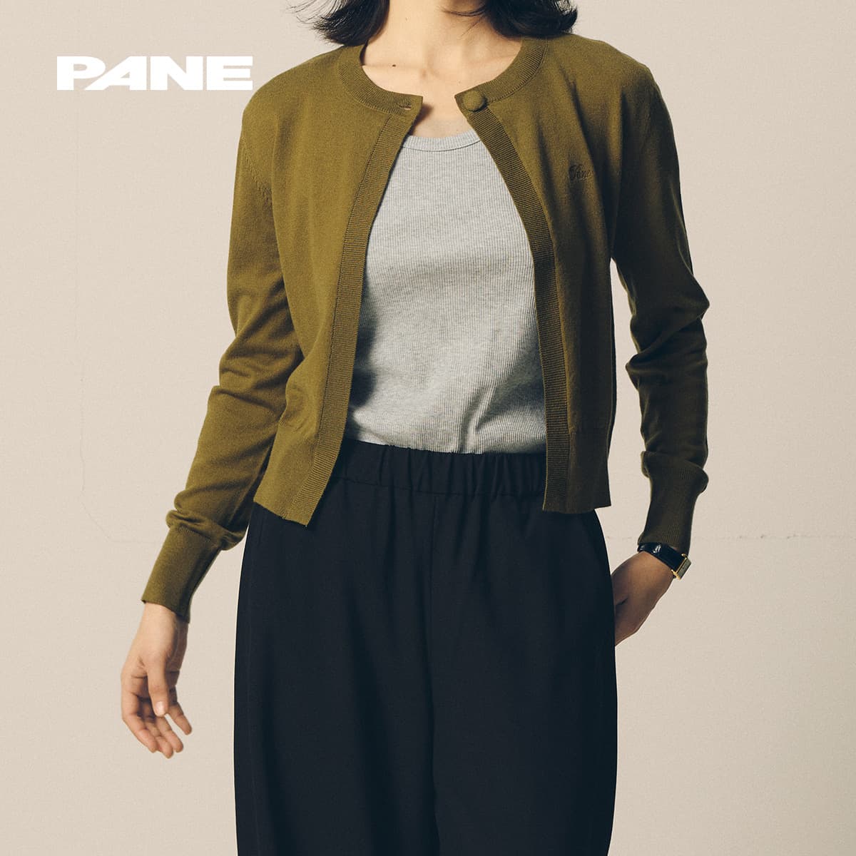 PANE