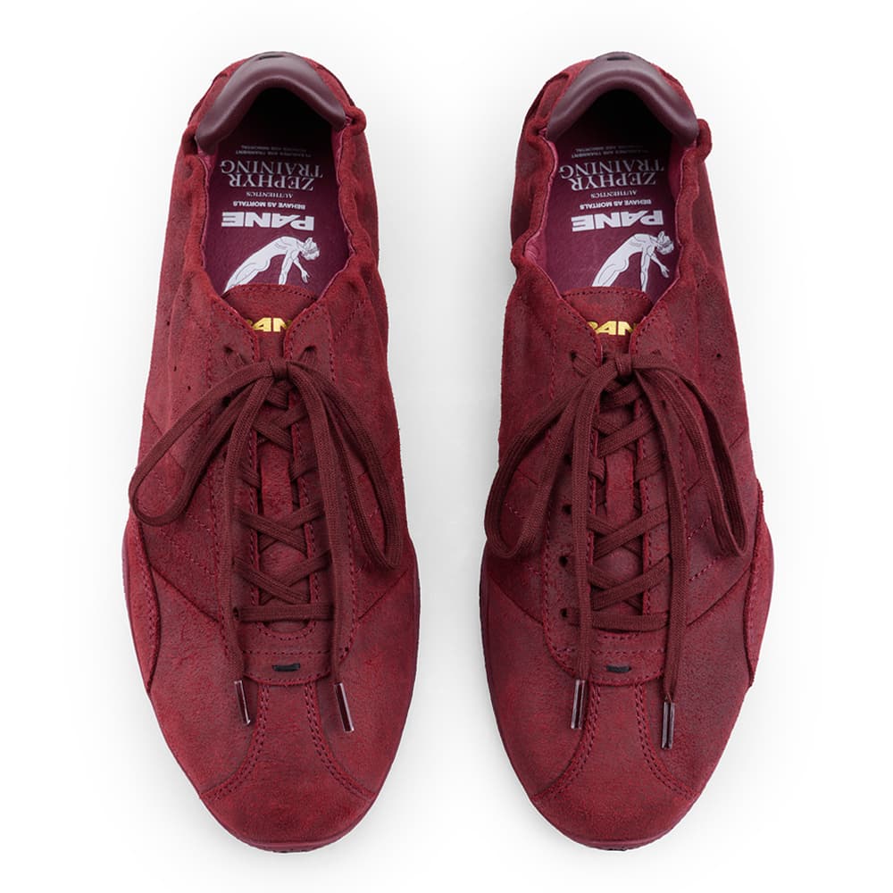 PANE -maroon